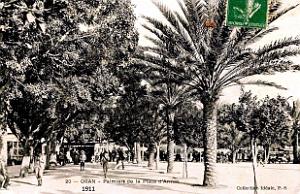 Oran - Place d'Armes -  Palmiers - 1911